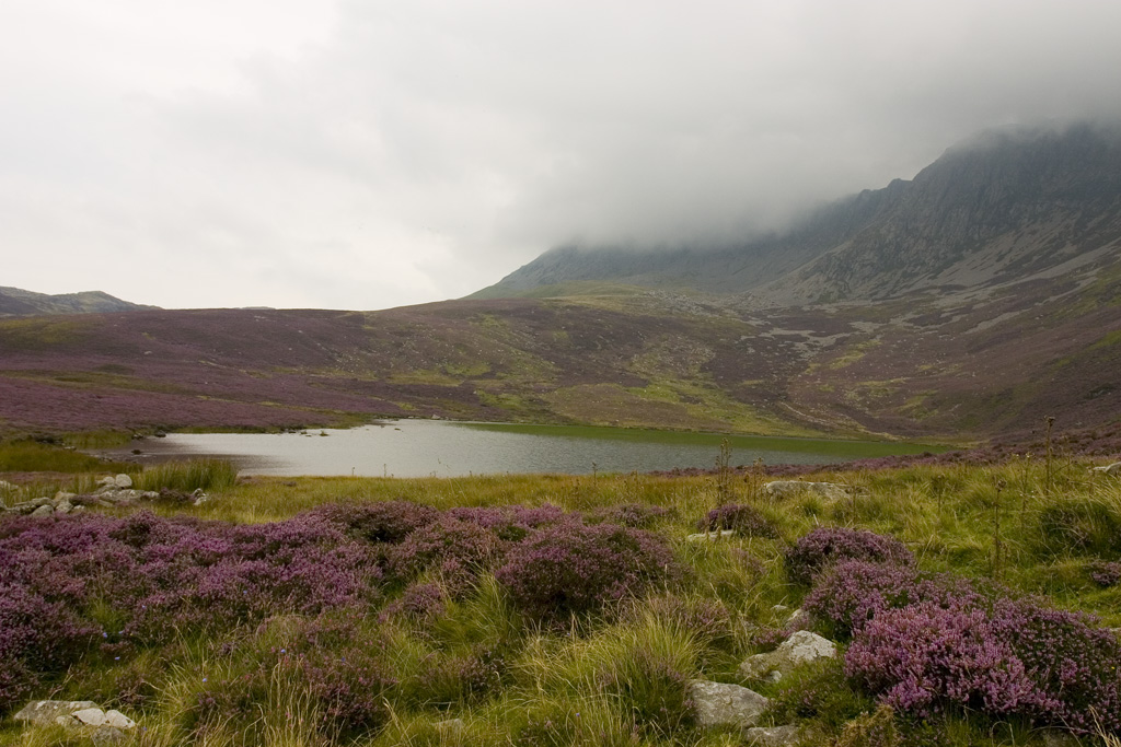 Pond on Cadair Idris trail