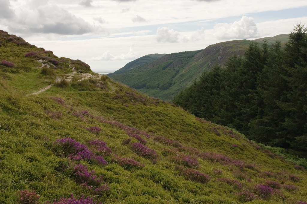 Precipice Walk 1
