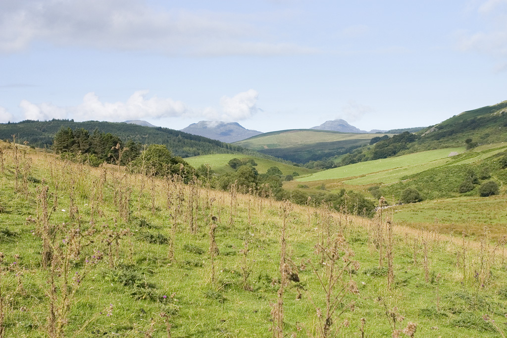 Rhinogs from Rhiwfelen