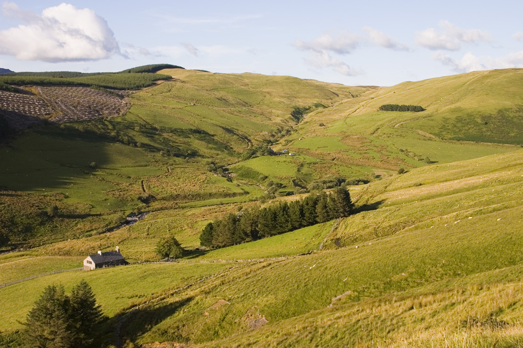 Rhiwfelen from hill