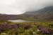 Pond on Cadair Idris trail